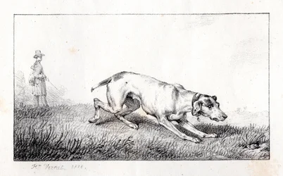 Caça